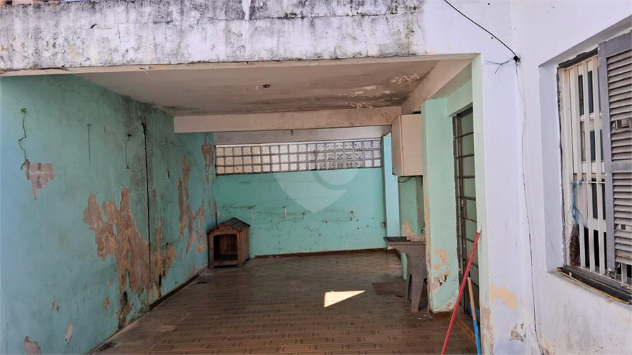 Foto REO1114526