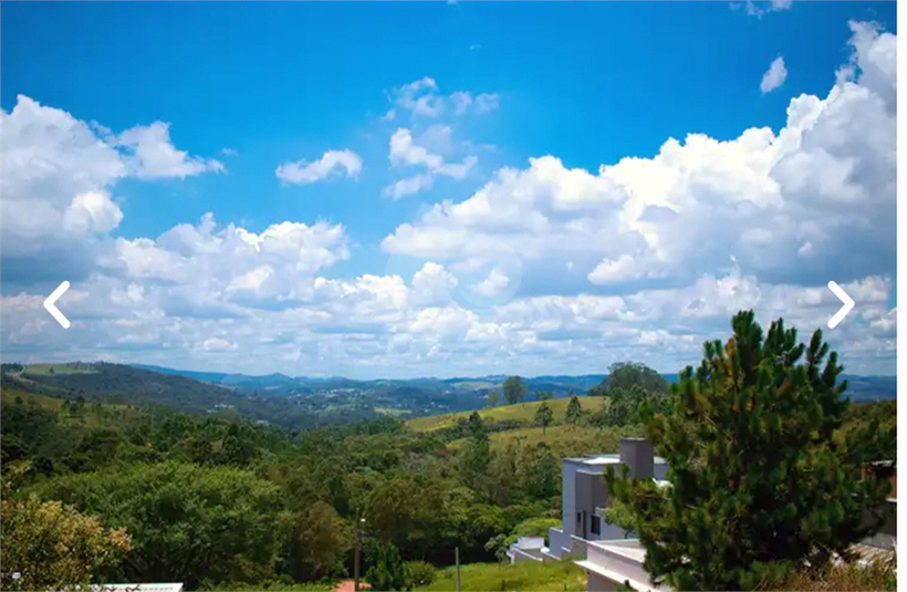 Foto REO1114531