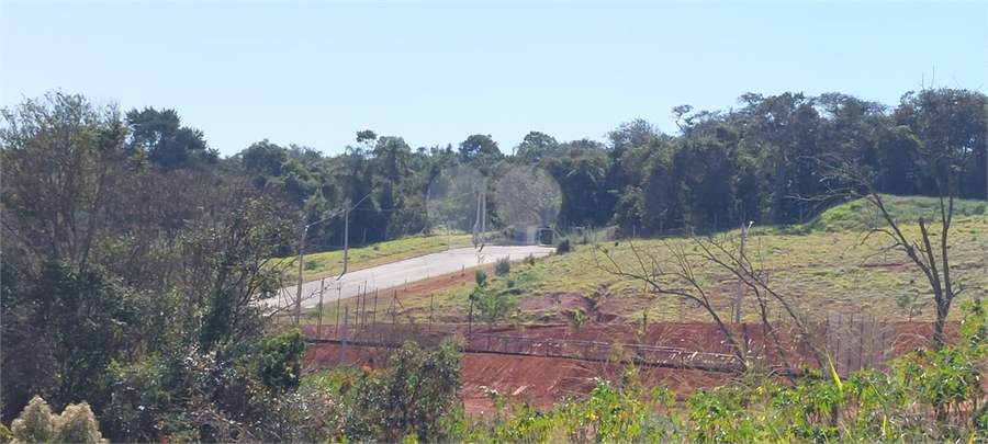Foto REO1114533