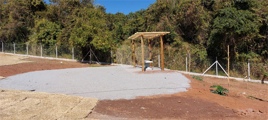 Foto REO1114533