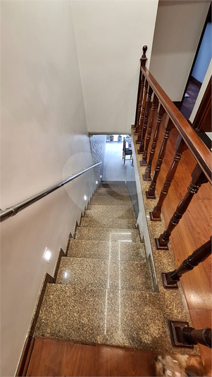 Foto REO1114534