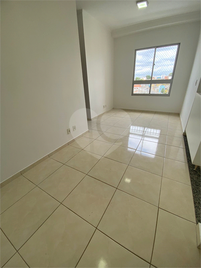 Foto REO1114535