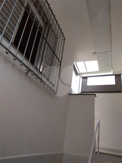 Foto REO1114544