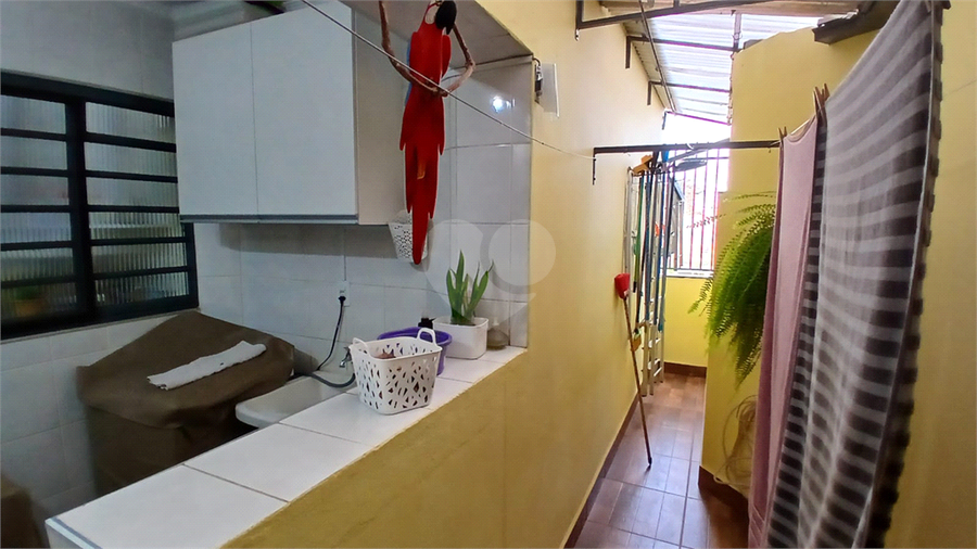Foto REO1114560