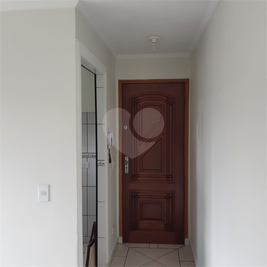 Foto REO1114561