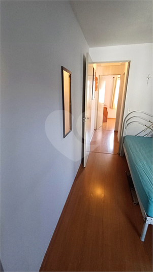 Foto REO1114564