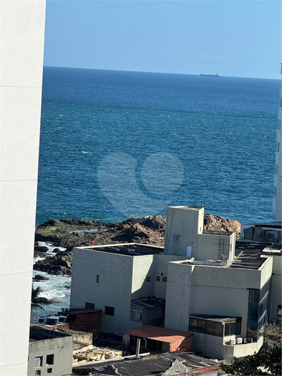 Foto REO1114571
