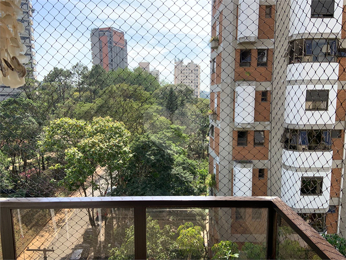 Foto REO1114575