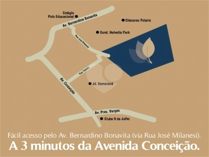 Foto REO1114578