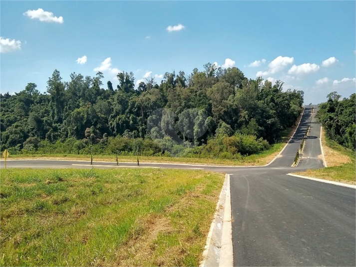 Foto REO1114578