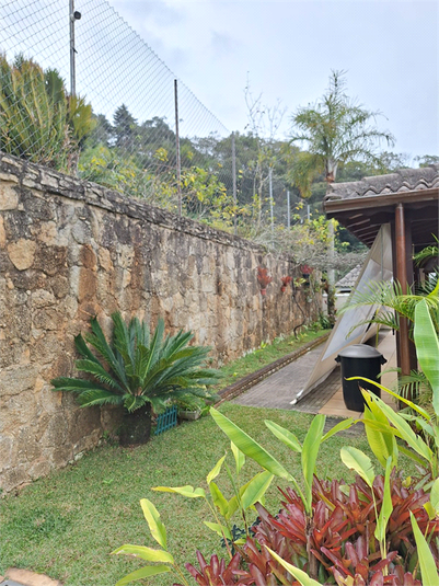Foto REO1114588