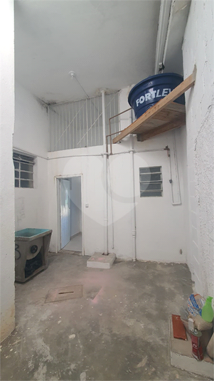 Foto REO1114593