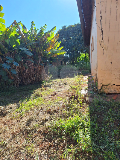 Foto REO1114609