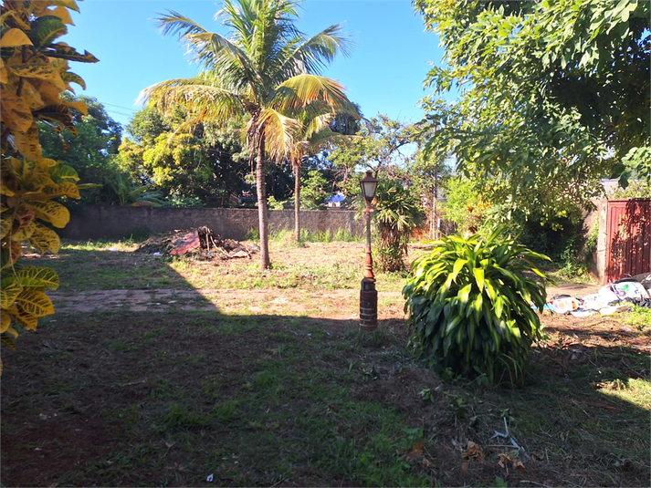 Foto REO1114609