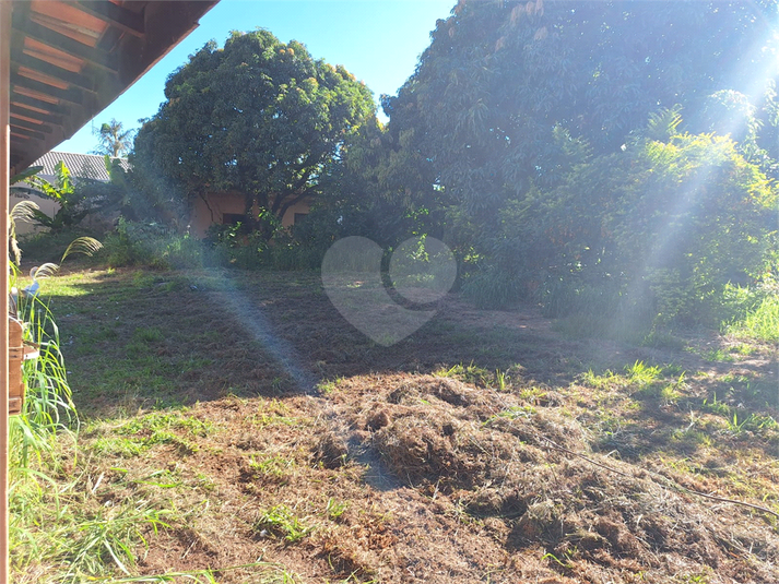 Foto REO1114609