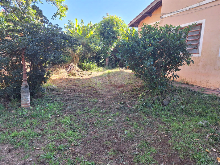 Foto REO1114609