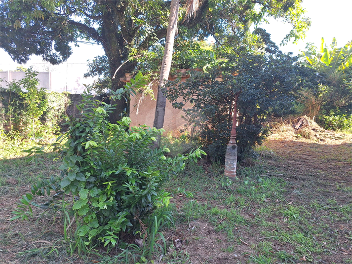 Foto REO1114609