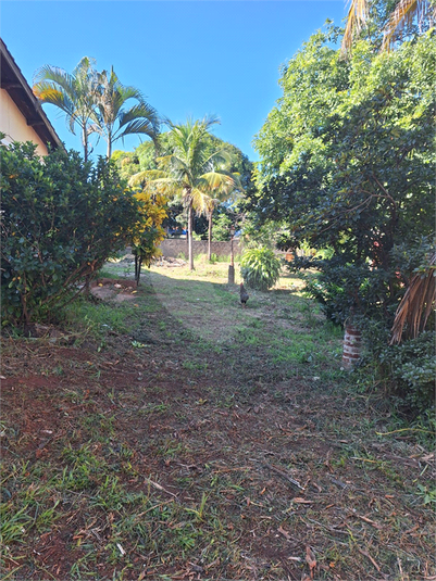 Foto REO1114609