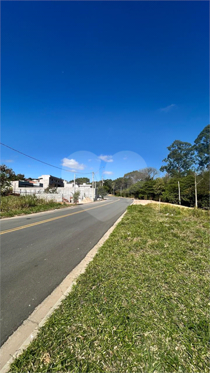 Foto REO1114616