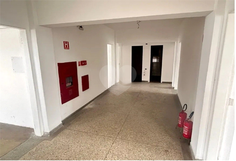 Foto REO1114618