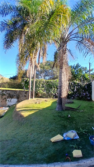 Foto REO1114619
