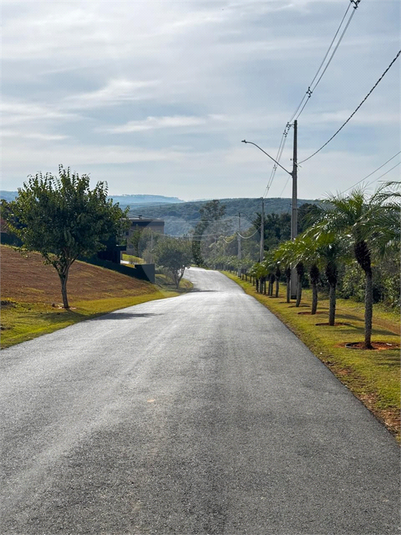 Foto REO1114626