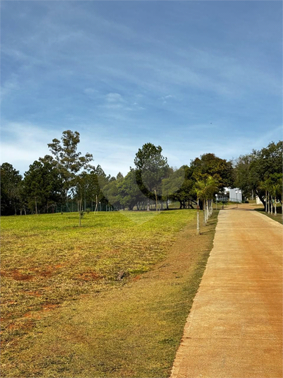 Foto REO1114626