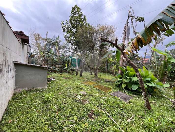 Foto REO1114627