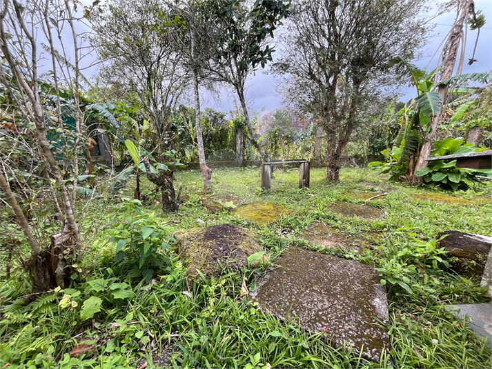 Foto REO1114627