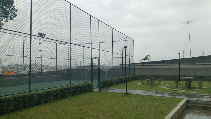 Foto REO1114632