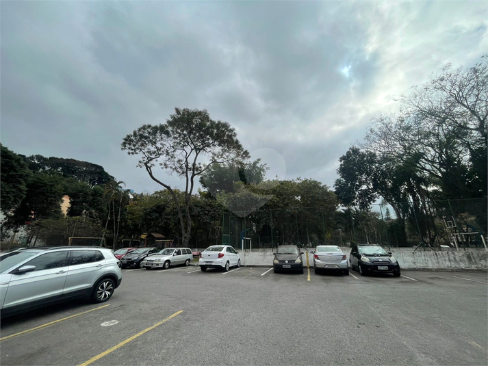 Foto REO1114644