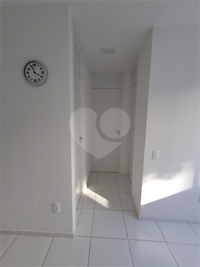 Foto REO1114655