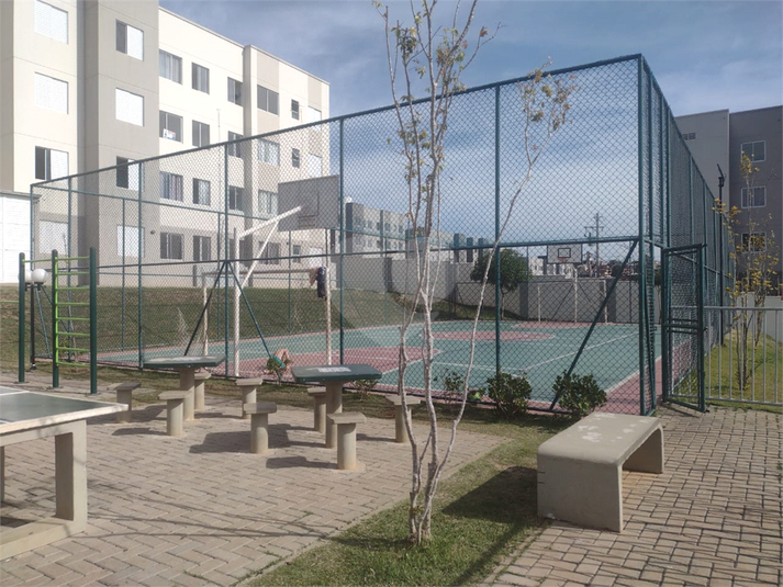 Foto REO1114655