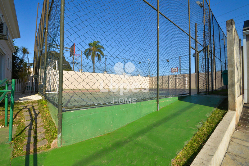 Foto REO1114659