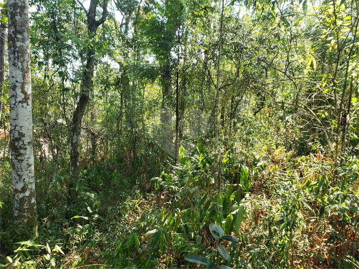 Foto REO1114667