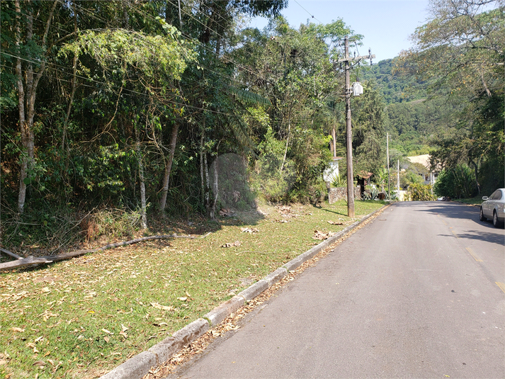 Foto REO1114667