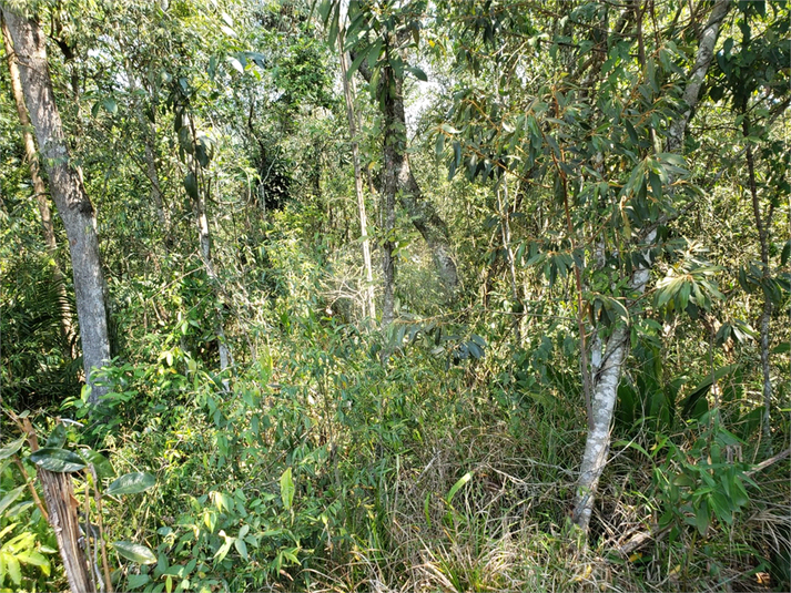 Foto REO1114667