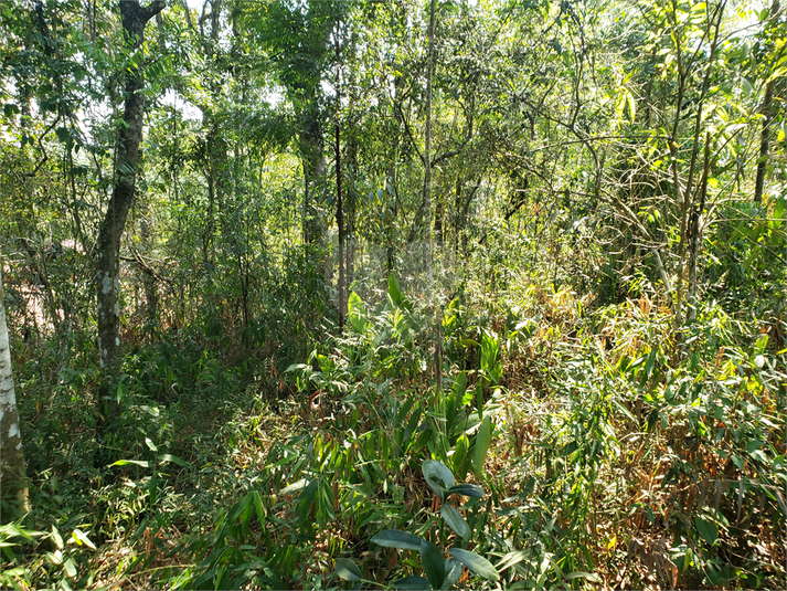Foto REO1114667