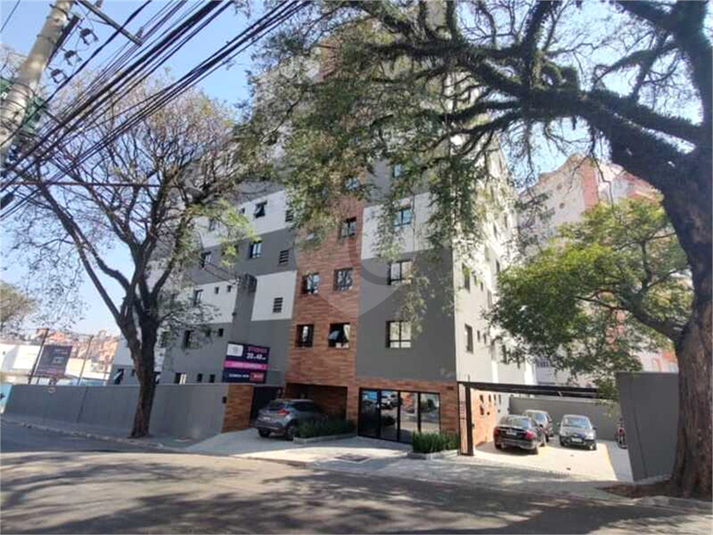 Foto REO1114674