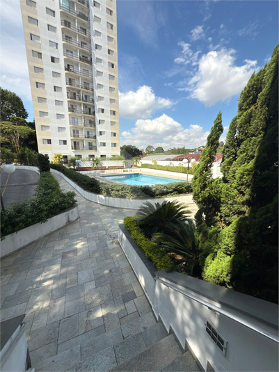 Foto REO1114676