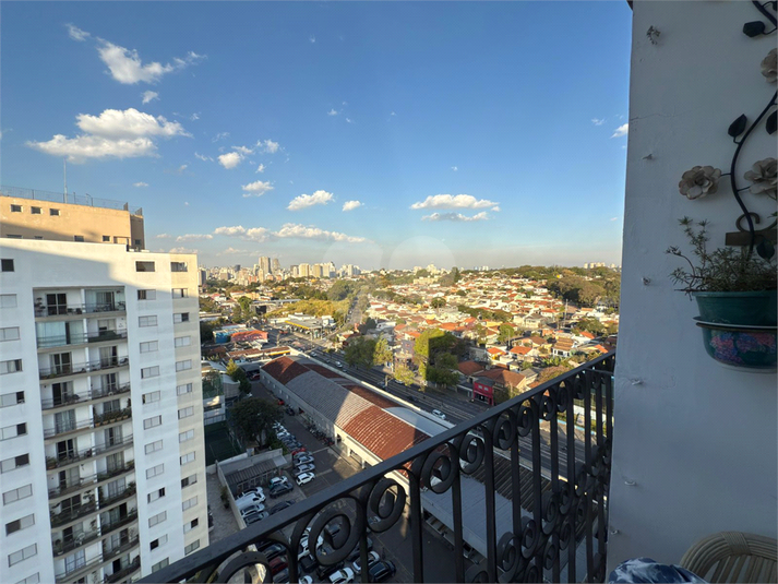 Foto REO1114676