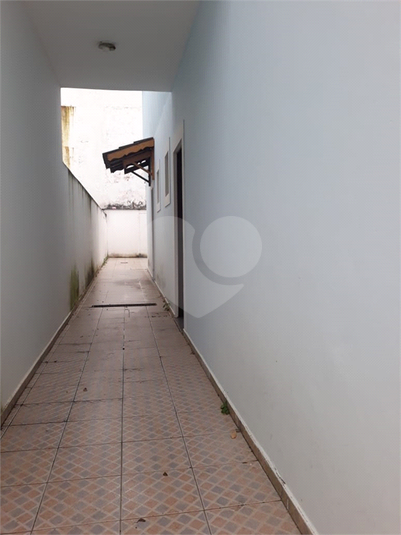 Foto REO1114680