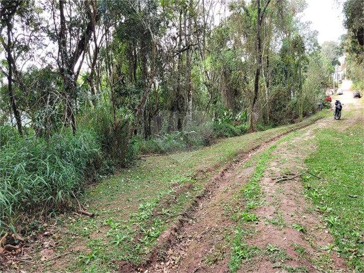 Foto REO1114684