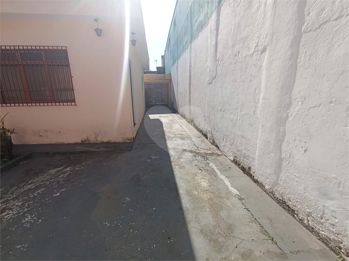 Foto REO1114695