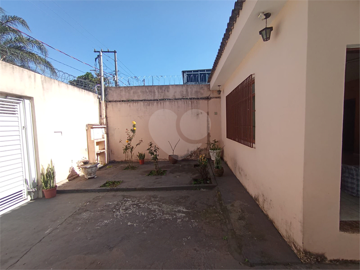 Foto REO1114695