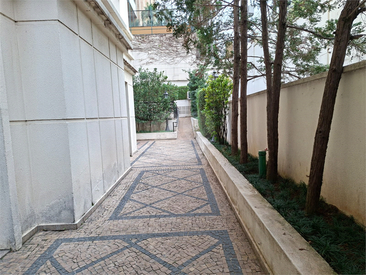 Foto REO1114709