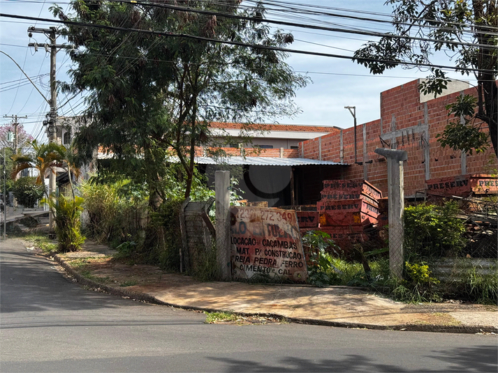Foto REO1114727