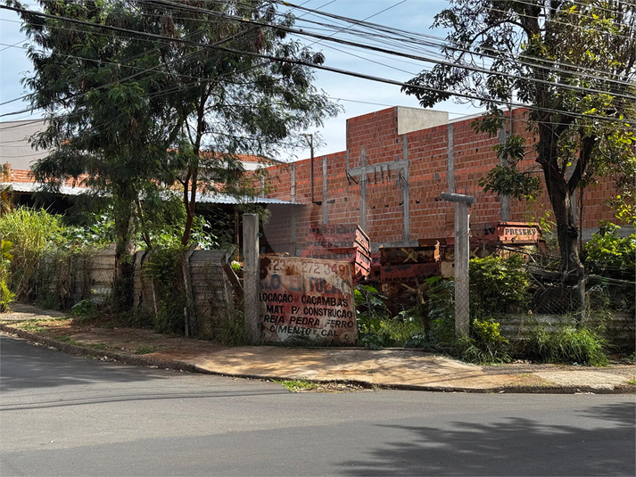 Foto REO1114727