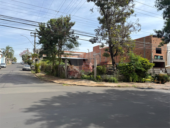 Foto REO1114727