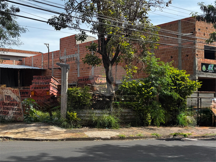Foto REO1114727